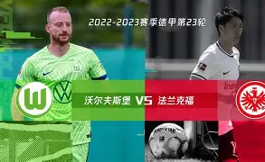 网页版入口-沃尔夫斯堡客场战平对手，力保不败战绩(沃尔夫斯堡比赛)