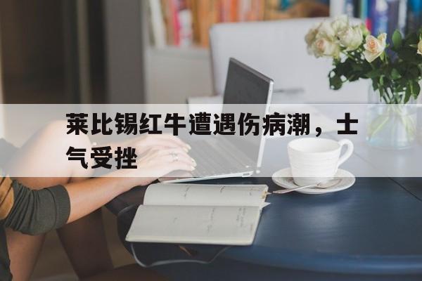 电子游戏-莱比锡红牛遭遇伤病潮，士气受挫(莱比锡红牛百度百科)